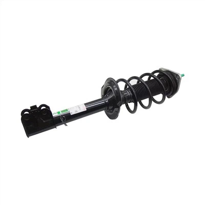 SHOCK ABSORBER Rau Tiggo 8 202000039AA